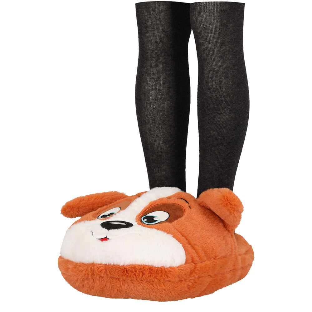 Home dog slipper