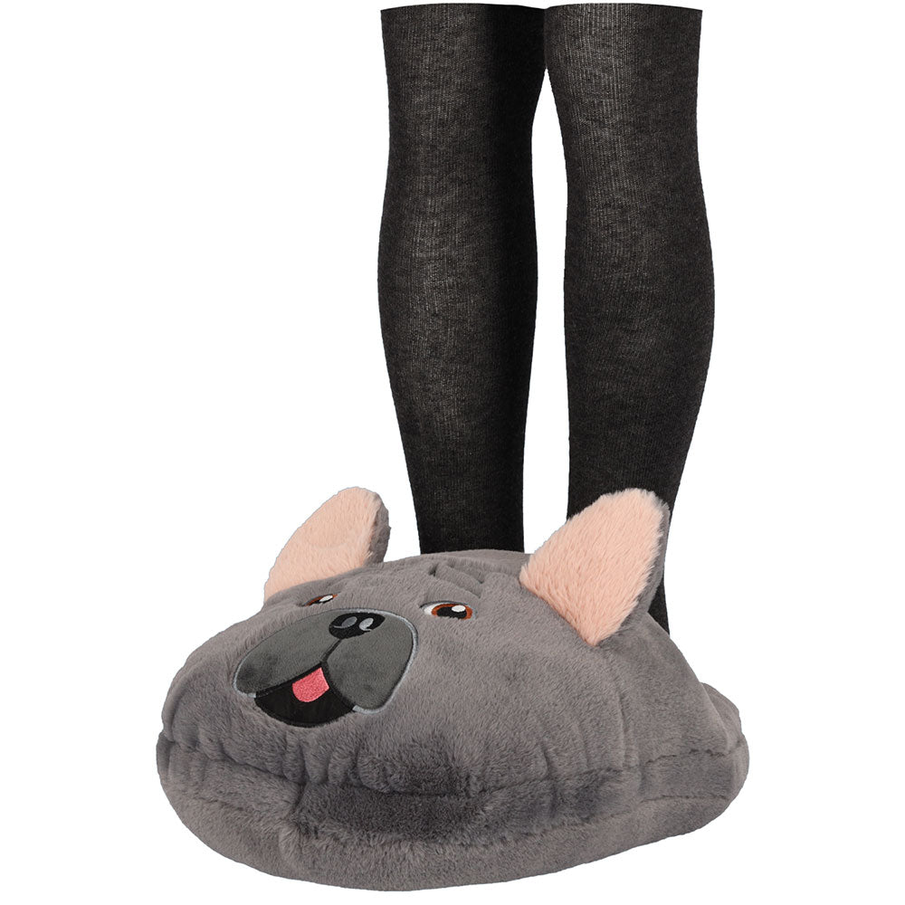 Home dog slipper