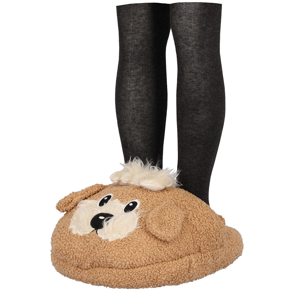 Home dog slipper